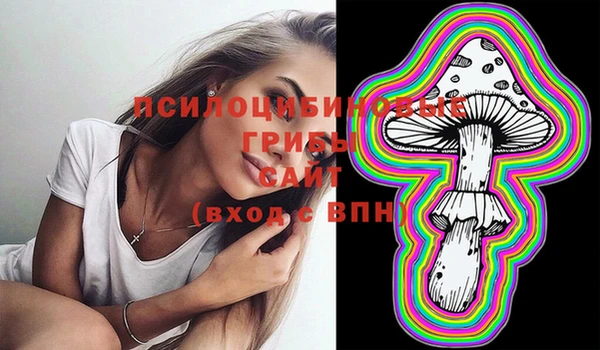 МДМА Горняк