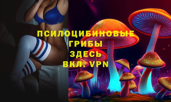 кокаин Гусь-Хрустальный