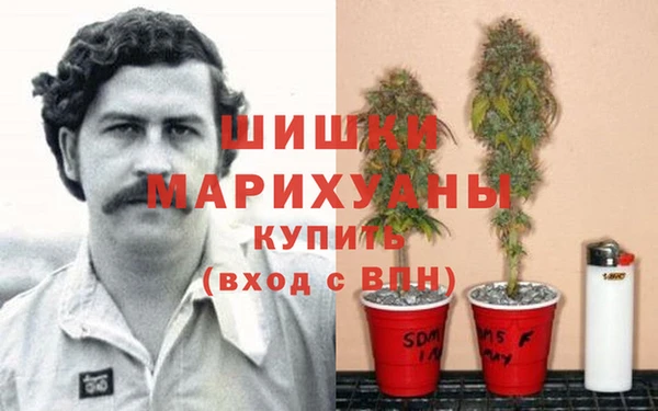 марки nbome Гусев