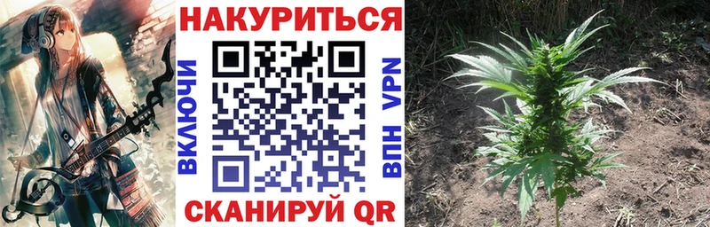 Конопля индика  Купить закладки  Арамиль 